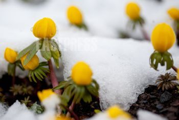 EA346138, Eastpress , Helsinki, Finland